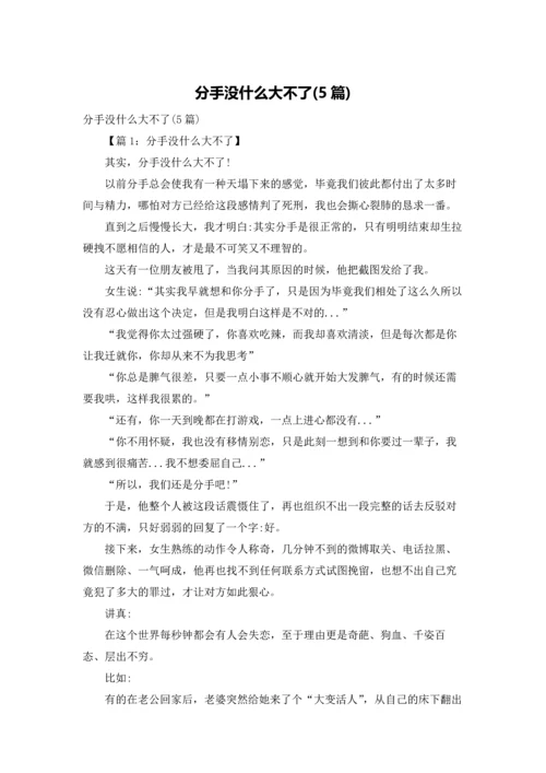 分手没什么大不了(5篇).docx