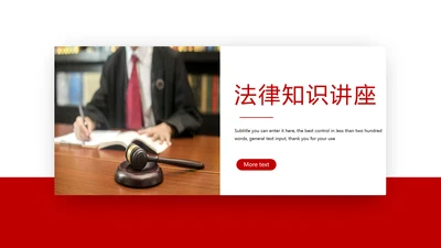 简约法律知识讲座宣传动态PPT模板