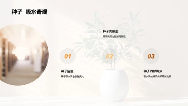 揭秘植物生长奇观