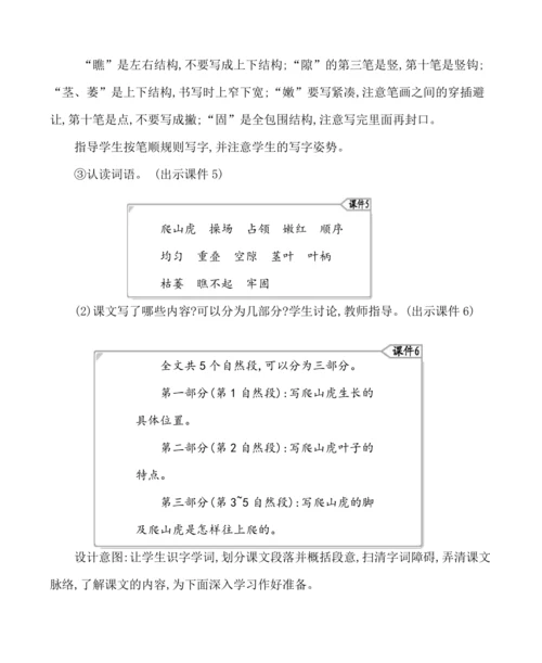 10爬山虎的脚  教案