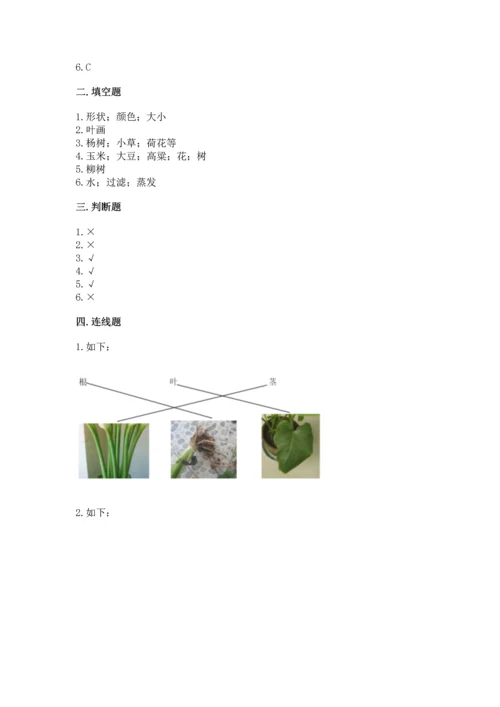 教科版科学一年级上册第一单元《植物》测试卷及参考答案（新）.docx