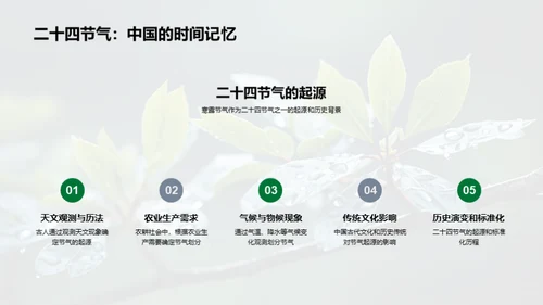 深度解析寒露节气