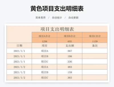 黄色项目支出明细表