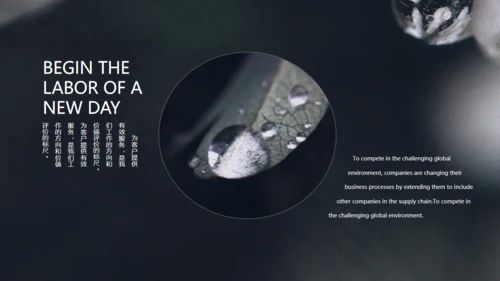 二十四节气白露冰雪融化通用PPT模板