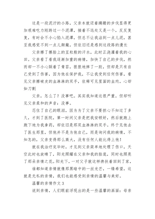 温馨的亲情作文.docx