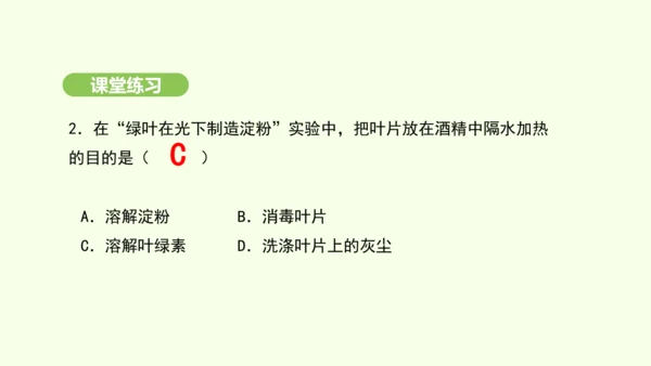第三单元-第二章-第二节-光合作用-第1课时 绿叶在光下制造有机物课件-2024-2025学年七年级
