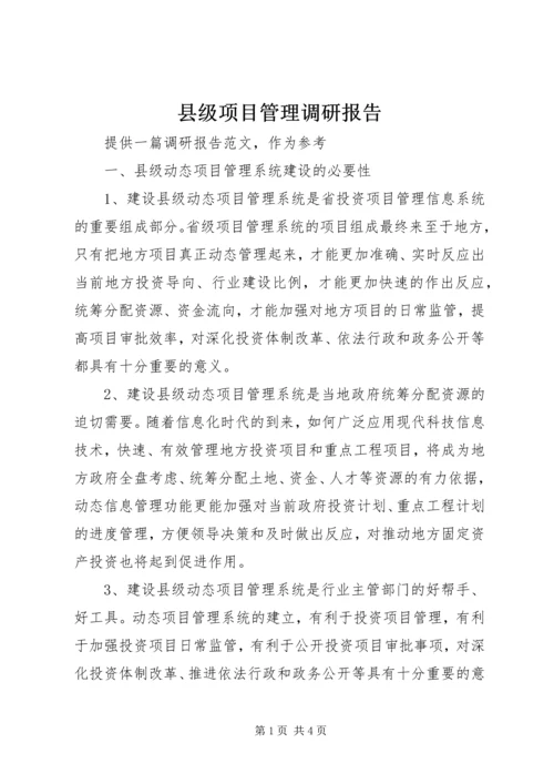 县级项目管理调研报告.docx