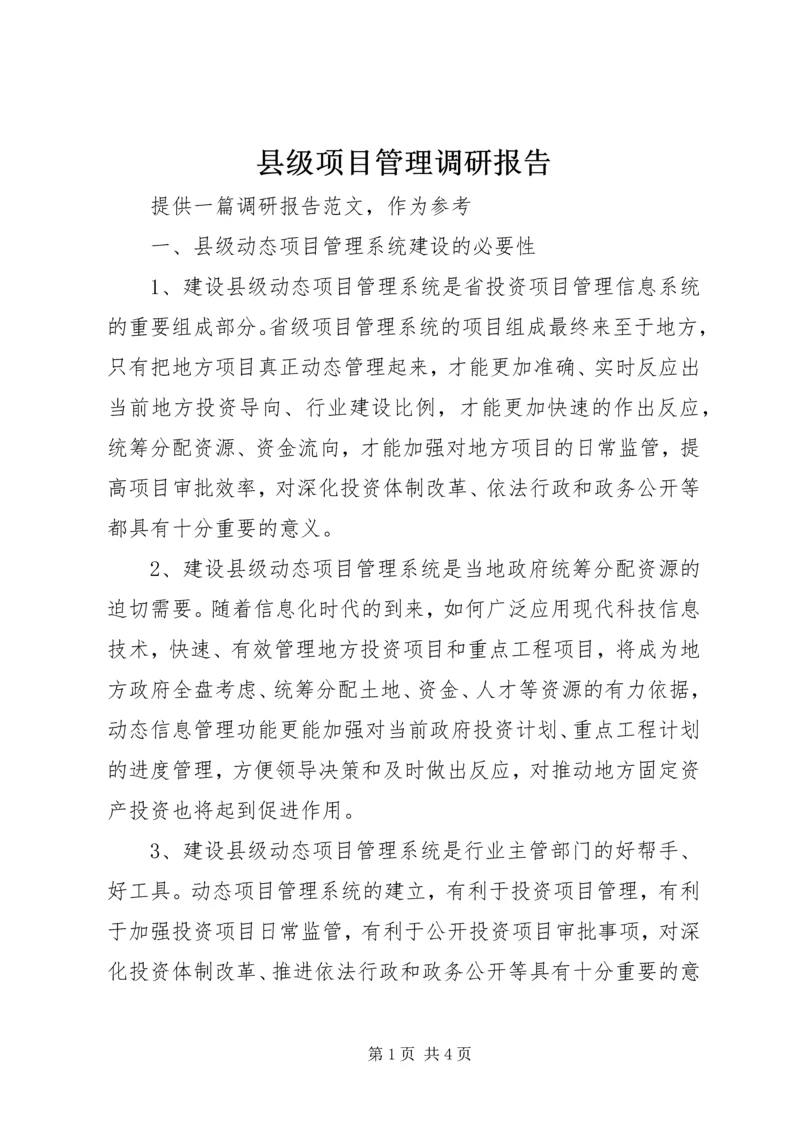 县级项目管理调研报告.docx