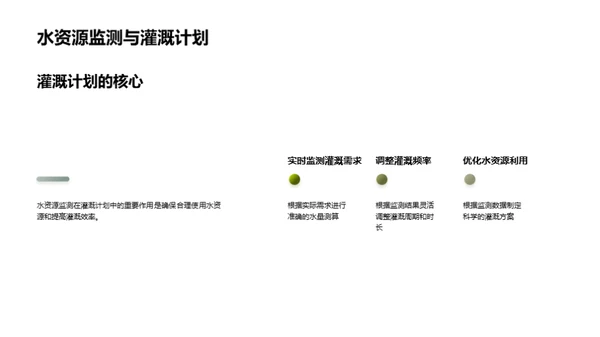 科技助力油果增产