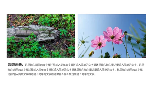 企业宣传画册图片相册活动展示旅游相册PPT模板