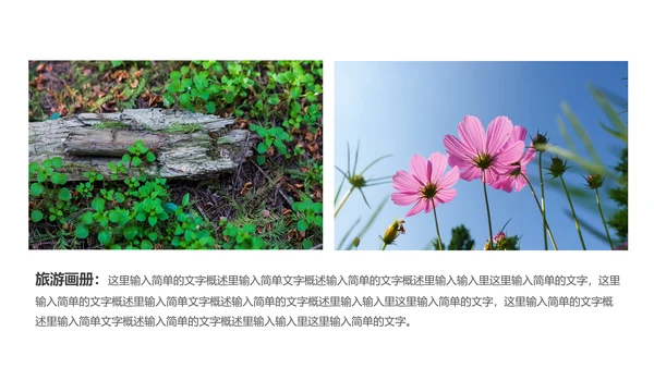 企业宣传画册图片相册活动展示旅游相册PPT模板