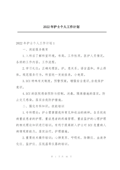 2022年护士个人工作计划.docx