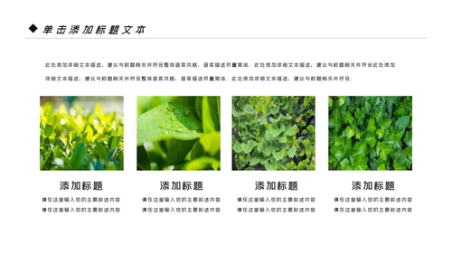 绿色清新生态文明环保低碳和谐社区PPT模板