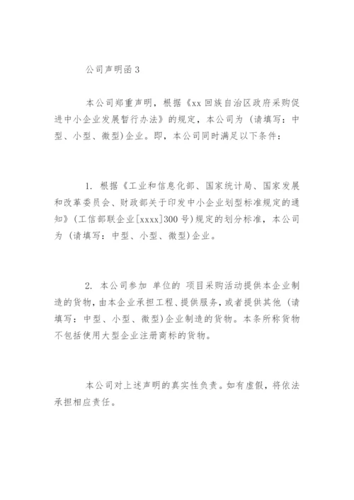 公司声明函.docx
