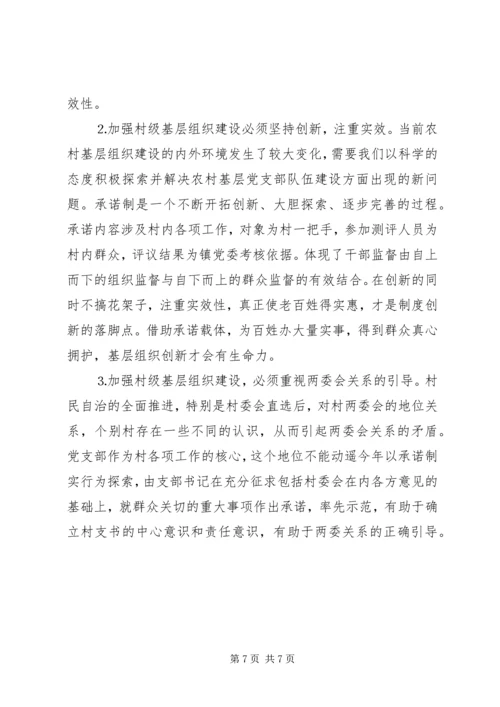 对行政村党支部书记“实事承诺制”的实践与思考.docx