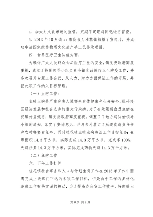 社会事务和人口与计划生育办公室工作总结.docx