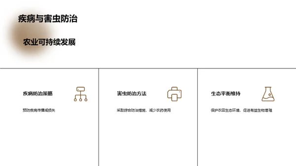 农学创新研究之路