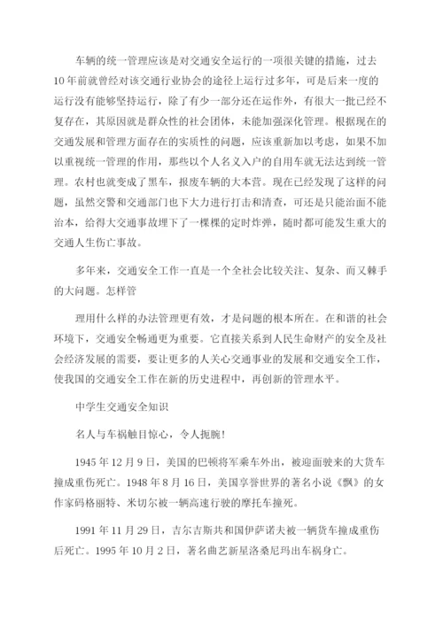 车辆安全管理措施论文怎么写.docx