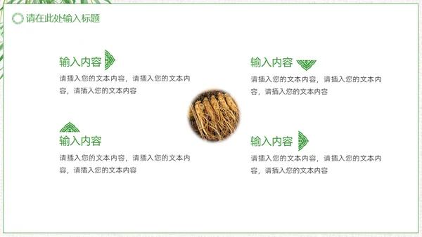 中草药中药人参通用PPT模板