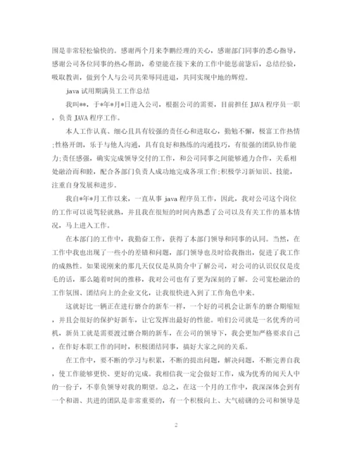 精编之java实习期工作总结范文.docx