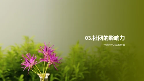 社团力量探索