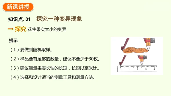 7.2.5生物的变异-八年级生物人教版下学期同步精品课件(共34张PPT)