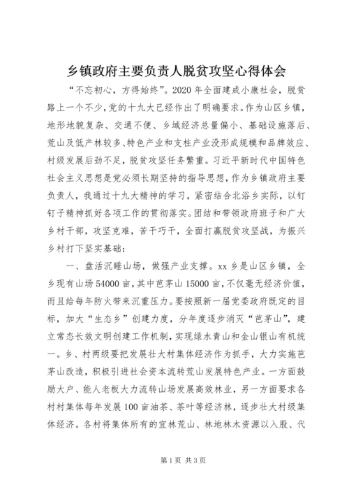 乡镇政府主要负责人脱贫攻坚心得体会.docx