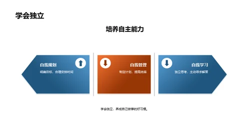 四年级的学习探索