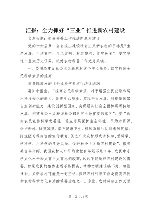 汇报：全力抓好“三业”推进新农村建设 (2).docx