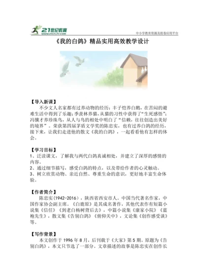 第18课《我的白鸽》教学设计