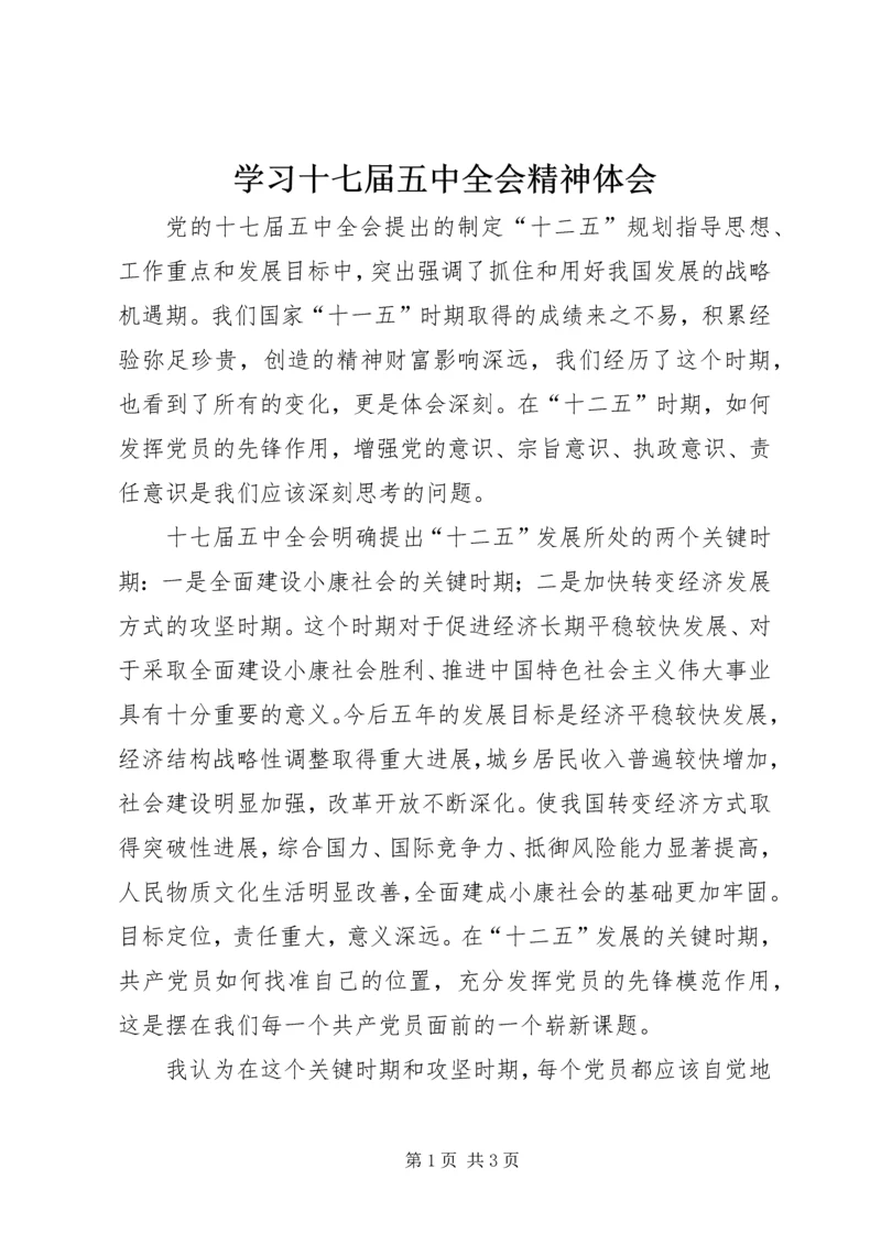 学习十七届五中全会精神体会.docx