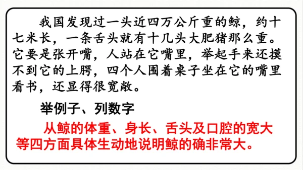 统编版语文五年级上册第五单元 习作例文《鲸》《风向袋的制作》 课件