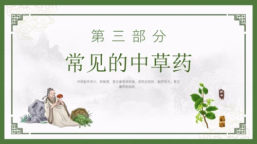 绿色中国风古风神奇中草药主题班会PPT模板中医药