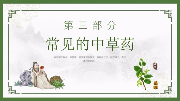 绿色中国风古风神奇中草药主题班会PPT模板中医药