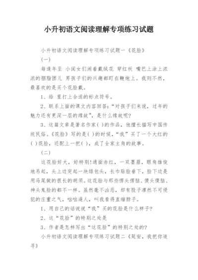 小升初语文阅读理解专项练习试题.docx