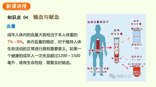 4.4.1流动的组织——血液-七年级生物下学期同步精品课件（2024人教版）(共38张PPT)