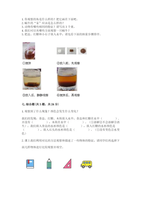 教科版小学科学一年级下册期末测试卷附答案【考试直接用】.docx