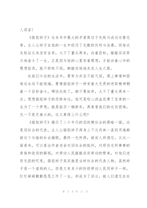 骆驼祥子曹宅拉包读书心得范文5篇.docx