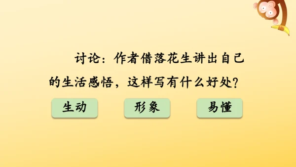 2 落花生    课件