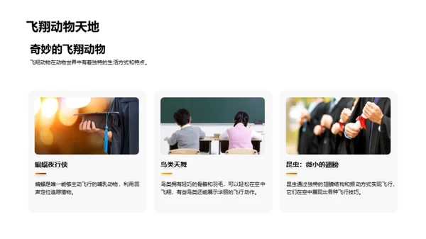 探秘动物世界