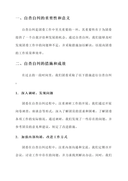 团委自查自纠情况汇报