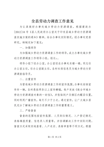 全县劳动力调查工作意见.docx