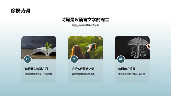 诗词之美之探索