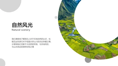 简约风并列关系1项PPT图文页