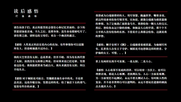 《白夜行》读书分享通用PPT模板