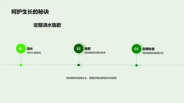 植物生长教学