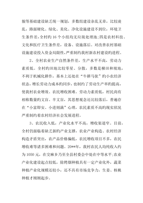 乡镇调研报告.docx
