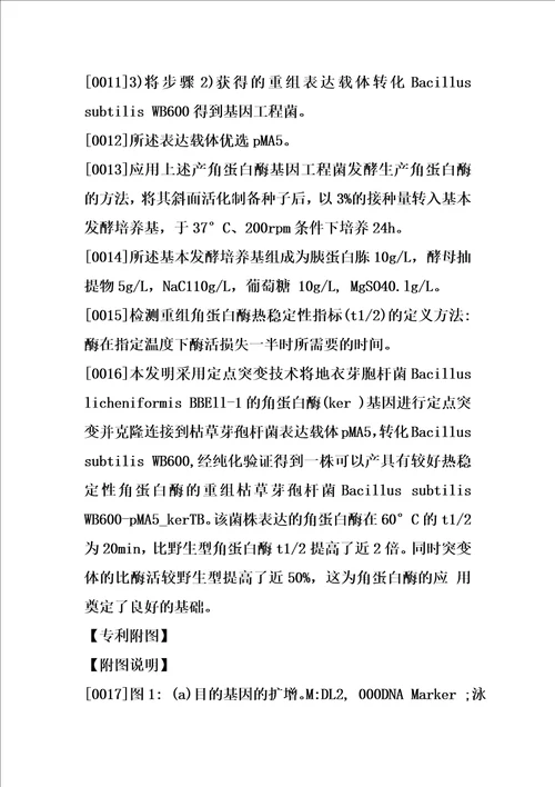 一种热稳定性及比酶活提高的角蛋白酶及其制备方法和应用的制作方法