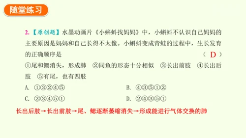 7.1.3两栖动物的生殖和发育-八年级生物人教版下学期同步精品课件(共31张PPT)