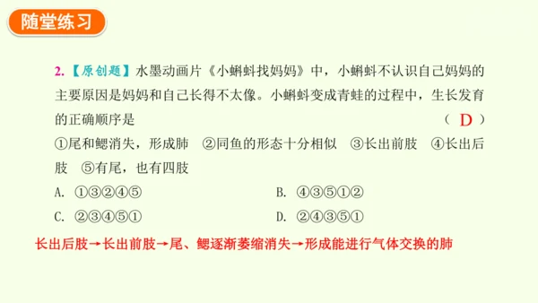 7.1.3两栖动物的生殖和发育-八年级生物人教版下学期同步精品课件(共31张PPT)
